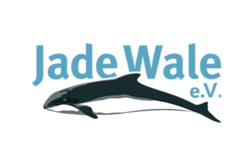 Logo Jadewale